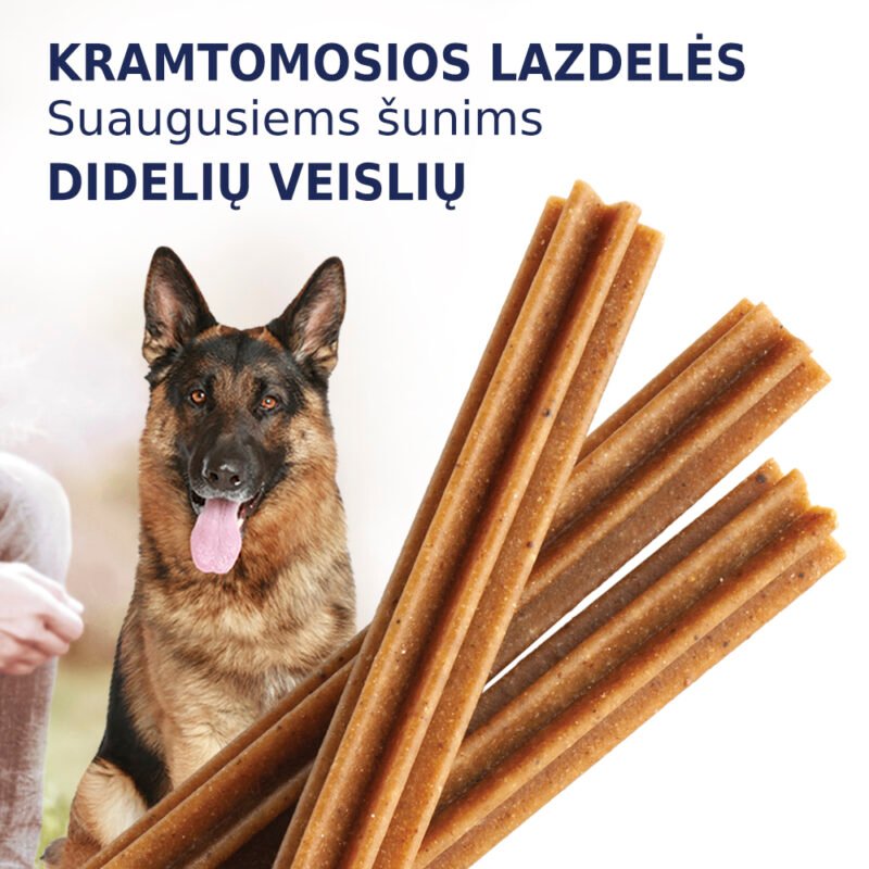 Premium rūšies kramtalai: lazdelės dantims . Pašaro papildas suaugusiems šunims