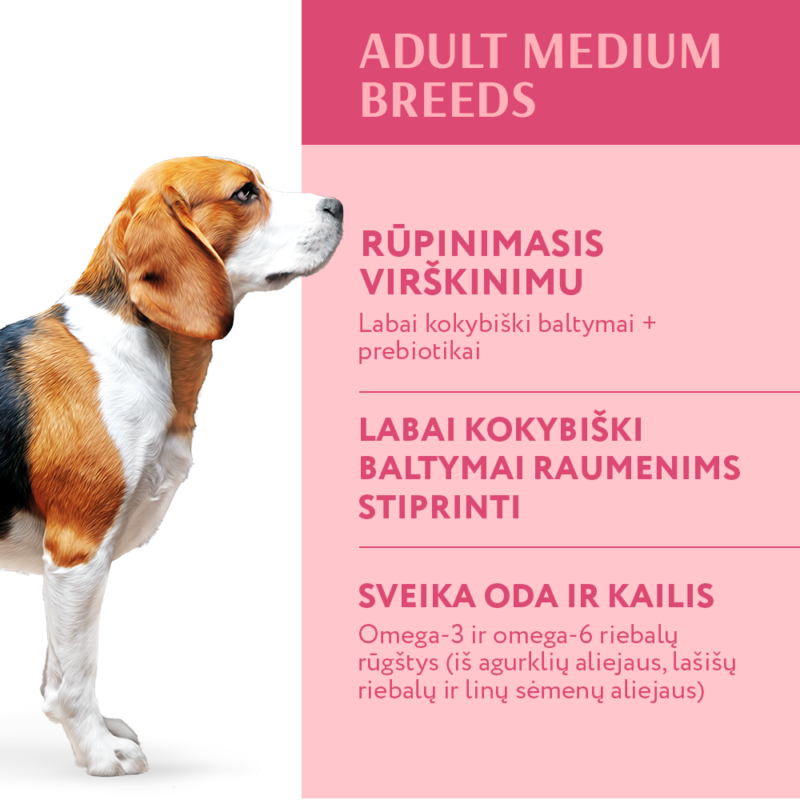 Visavertis pašaras vidutinių veislių suaugusiems šunims - kalakutas