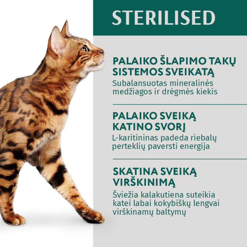 Visavertis konservuotas ėdalas sterilizuotoms katėms ir kastruotiems katinams su kalakutiena ir vištienos file padaže