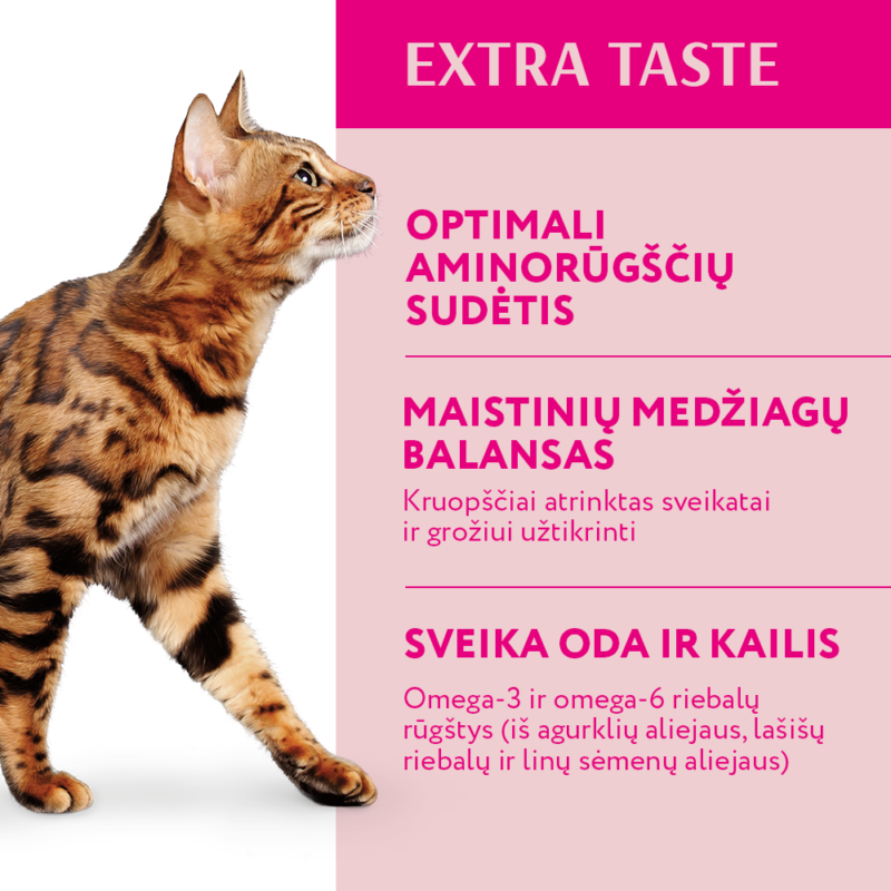 Visavertis pašaras suaugusioms katėms su dideliu veršienos kiekiu