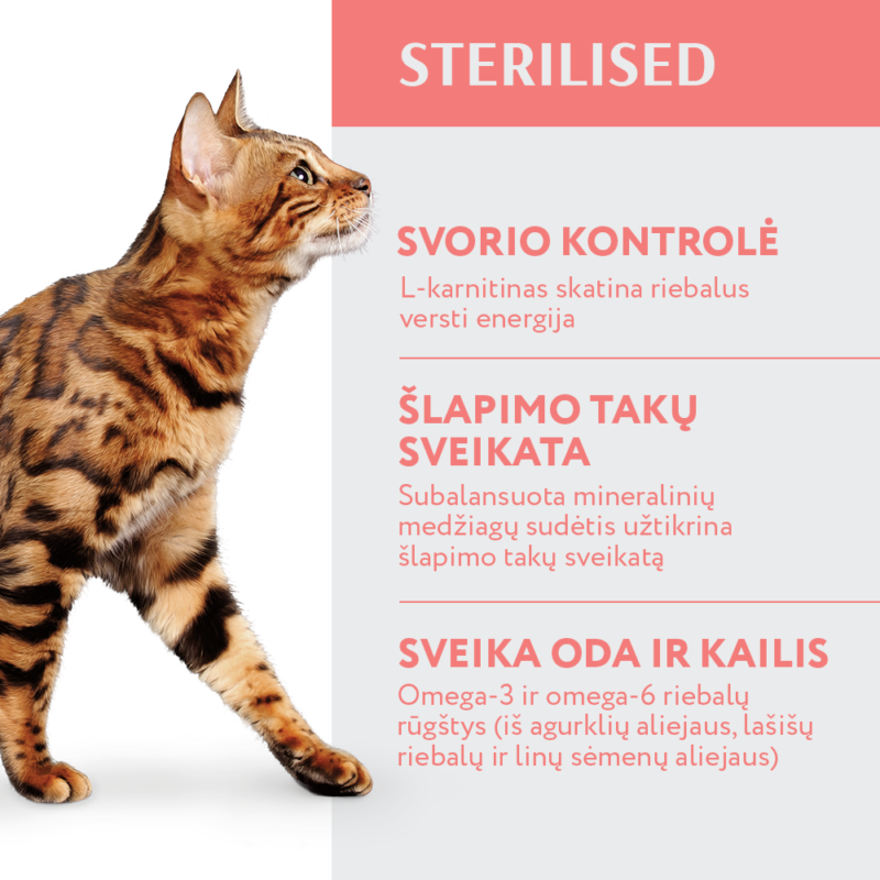 Visavertis pašaras sterilizuotoms katėms ir kastruotiems katinams - didelis kiekis jautienos ir sorgo