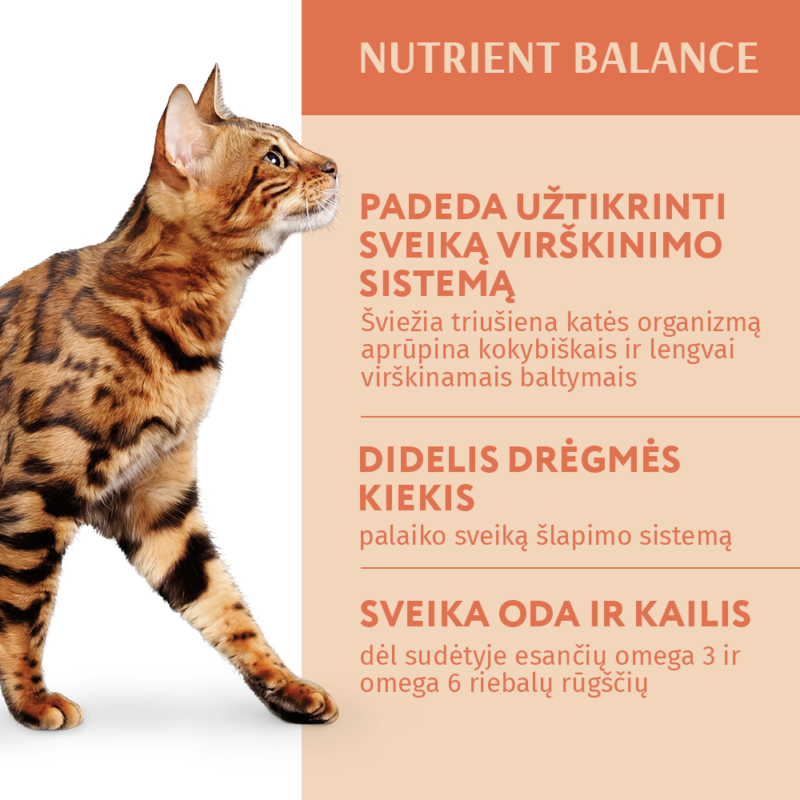 Visavertis konservuotas ėdalas suaugusioms katėms su triušiena baltame padaže