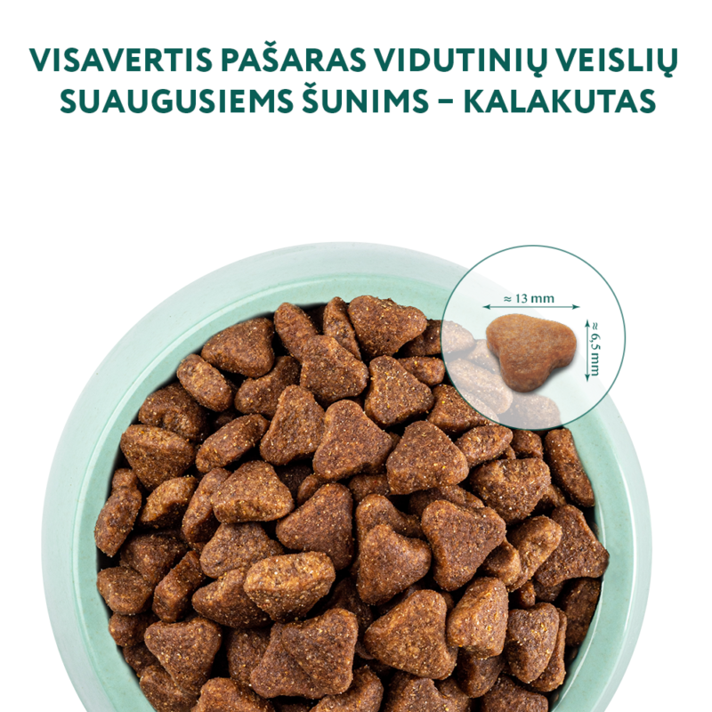 Visavertis pašaras vidutinių veislių suaugusiems šunims - kalakutas