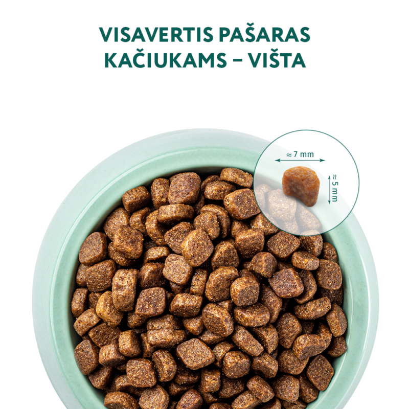 Visavertis pašaras kačiukams - višta