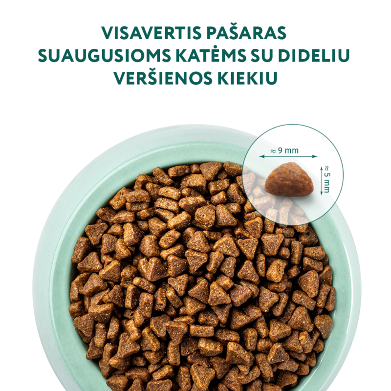 Visavertis pašaras suaugusioms katėms su dideliu veršienos kiekiu
