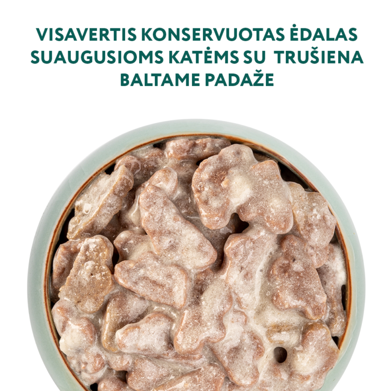 Visavertis konservuotas ėdalas suaugusioms katėms su triušiena baltame padaže