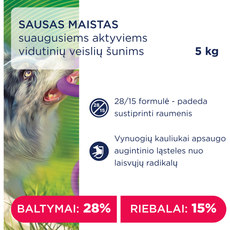 Premium visavertis pašaras suaugusiems aktyviems vidutinių veislių šunims "Aktyvas"