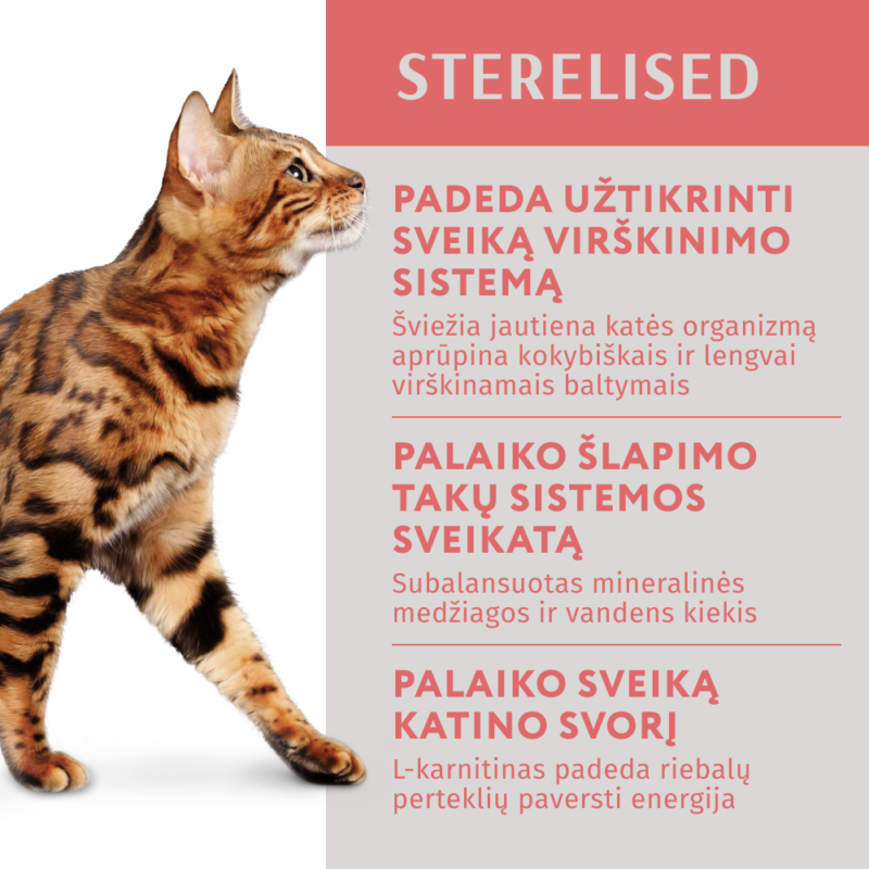 Visavertis konservuotas maistas sterilizuotoms katėms ir kastruotiems katinams su jautiena ir kalakutienos filė drebučiuose