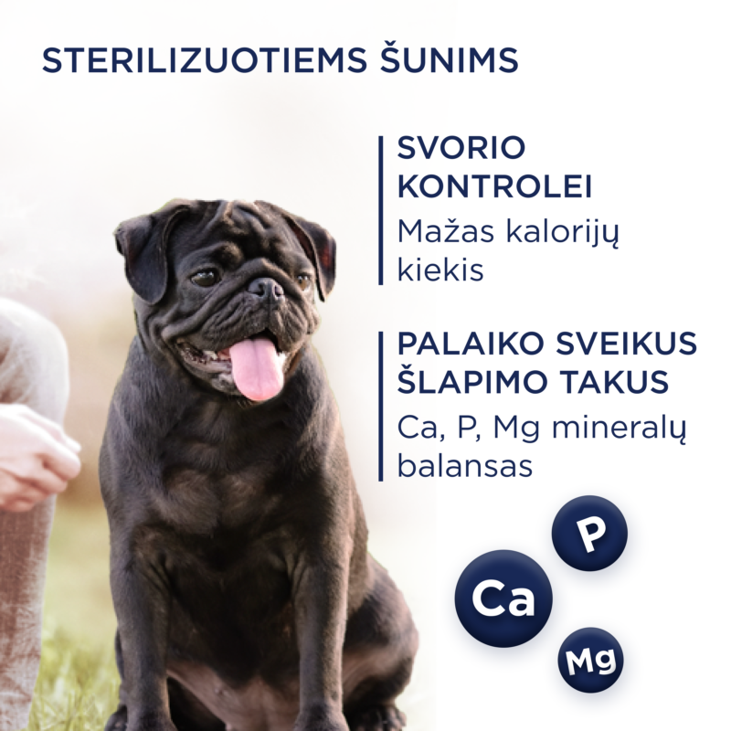 Priemium visavertis pašaras suaugusiems šunims mažų veislių sterilizuotiems ir turintiems polinkį į nutukimą "Svorio kontrolė su dideliu kiekiu kalakutienos"